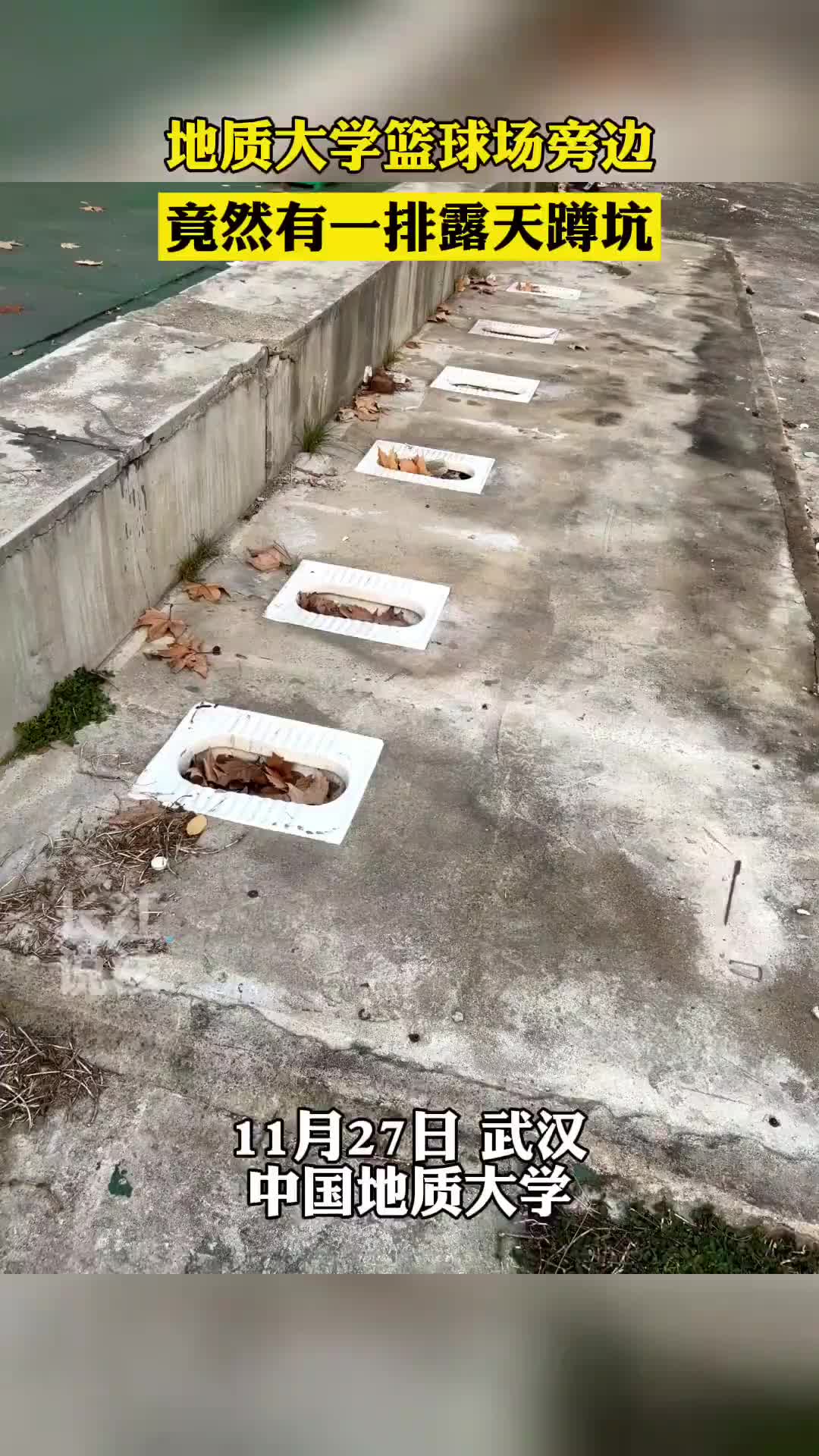 籃球場邊上擺一排露天蹲坑是干嘛用得