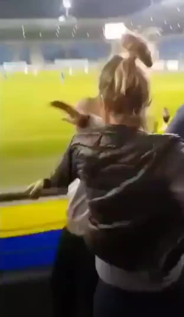 是什么原因讓男子不敢回?fù)襞蛎裕?></span> <i class=