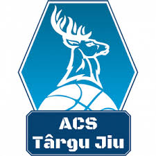 ACS特爾古日烏